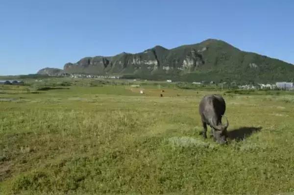 贵州附近有什么草原内蒙古太远贵州这12个地方23