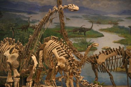 称霸地球1.6亿年的恐龙为什么会突然灭绝那天到底发生了什么？