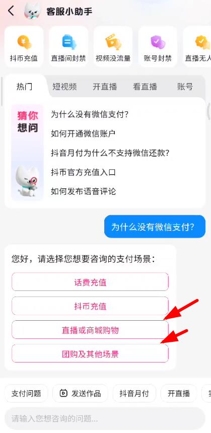 抖音微信支付设置在哪里？抖音微信支付权限恢复设置方法图文介绍图片5