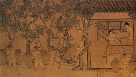 解析：清朝爱新觉罗氏家族惩处帝王的那些家法历史原因是什么？