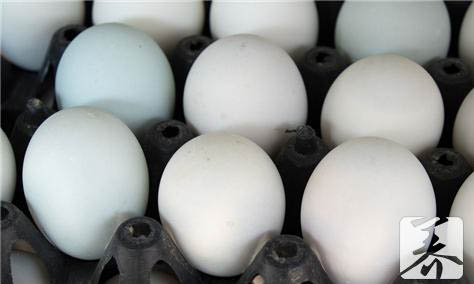 减肥期间能吃咸鸭蛋吗