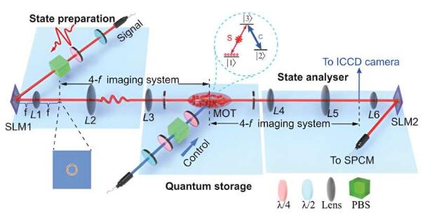 研究人员实现了高效、高维量子存储器的新方法