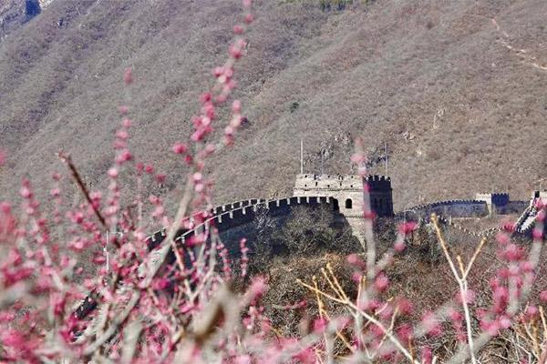 2024北京慕田峪山花节门票+时间+地点