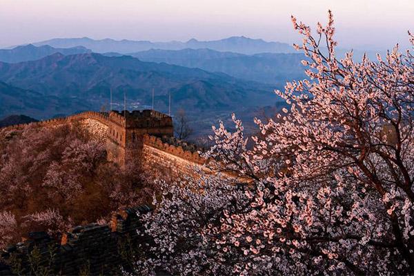 2024北京慕田峪山花节门票+时间+地点