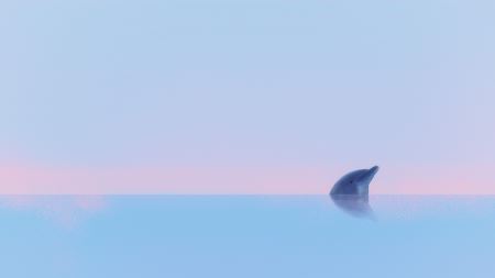 在加利福尼亚海岸发现世界上最稀有的鲸鱼：极度濒危的北太平洋露脊鲸